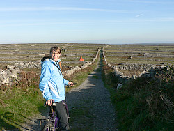 Catische �� ������ � ���� �����