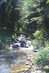 ������� �� �������