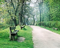 ���������� ����